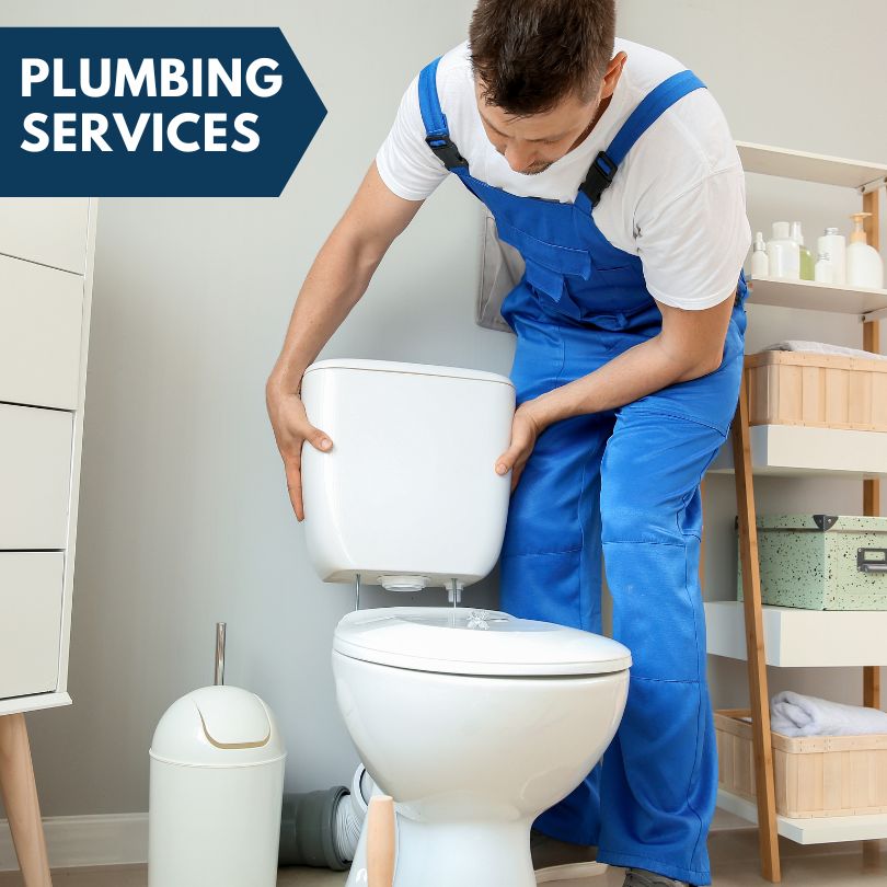 Plumbing Company in Lone Tree, IA